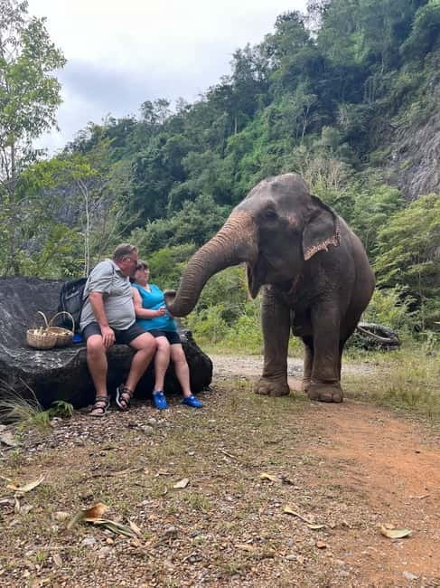 Krabi: Ethical Elephant Sanctuary & Tiger Cave Temple Tour - Temple etiquette: modest clothing and safe footing