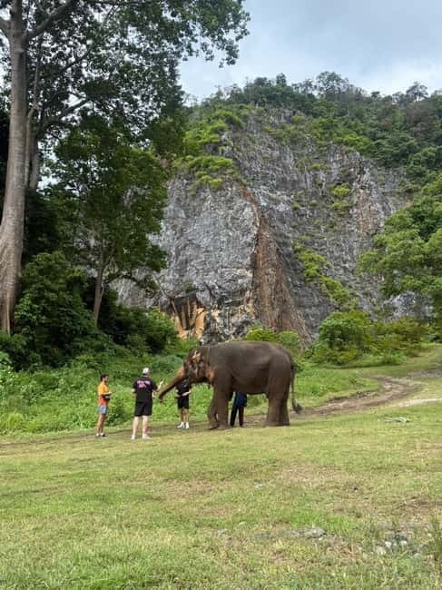 Krabi: Ethical Elephant Sanctuary & Tiger Cave Temple Tour - Thai lunch in the mountains: what fuels the stair climb