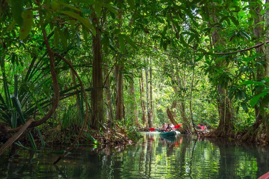 Krabi: Half-Day Blue Lagoon Kayaking at Klong Srakaew & ATV - The Kayaking Setup at Klong Srakaew: Gentle Paddling, Real Freshwater