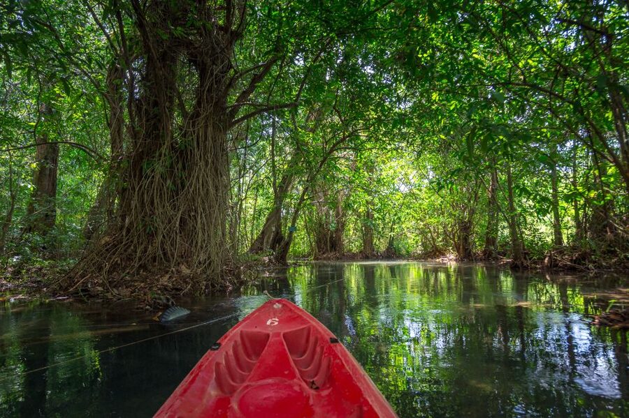 Krabi: Half-Day Blue Lagoon Kayaking at Klong Srakaew & ATV - Lunch, Fruits, Water, and the Small Comforts That Save the Day