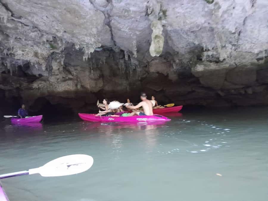 Krabi: Half-Day Kayak Adventure at Ao Thalane - Why Ao Thalane Mangroves Feel Different from Open-Water Kayaking
