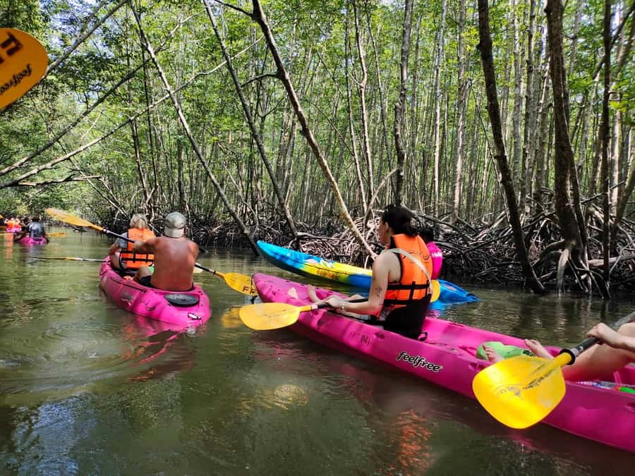 Krabi: Half-Day Kayak Adventure at Ao Thalane - Tide Timing: When High Water Lets You Go Deeper into Mangroves
