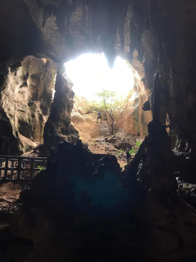Krabi: Half-Day Mangrove Boat Trip And Khao Khanap Nam Cave - Krabi Town mangrove boat from Black Crab Sculpture Pier