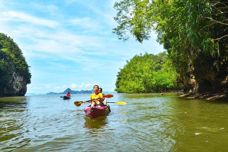 Krabi: Hidden Mangrove Kayaking Tour with Optional Extras - Price and value: is around $33 worth it?