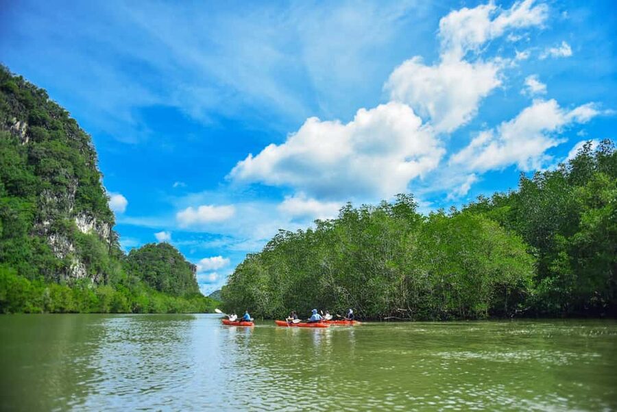 Krabi: Hidden Mangrove Kayaking Tour with Optional Extras - Pickup, meeting points, and how not to lose time