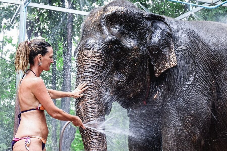 Krabi: Highlights Tour with Krabi Elephant Shelter - Highlights You Should Know Before You Go