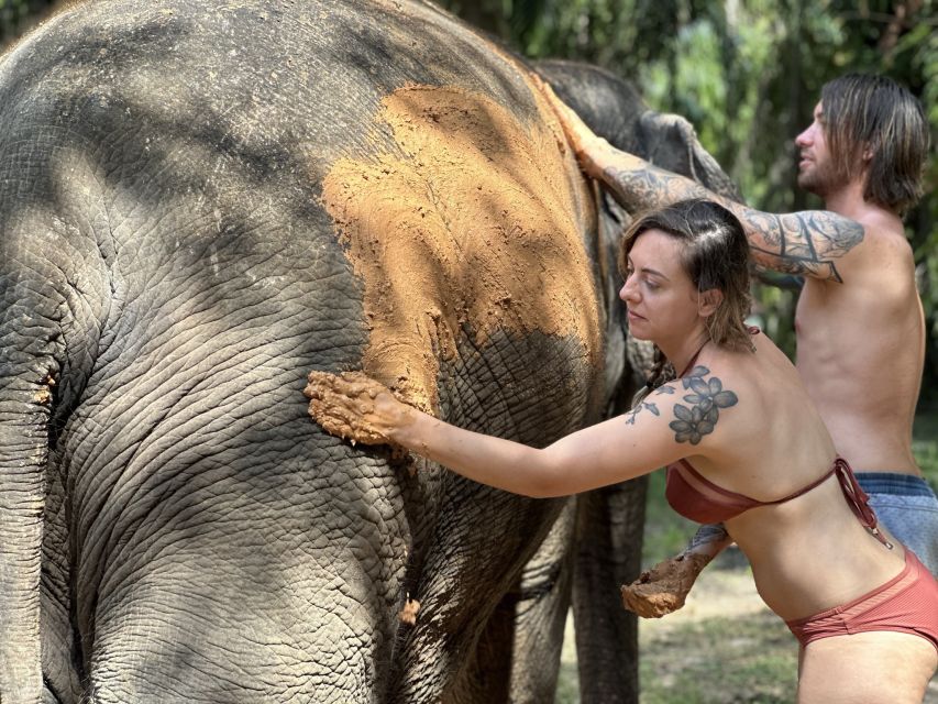 Krabi: Highlights Tour with Krabi Elephant Shelter - How the Krabi Elephant Shelter Tour Works (And Why It Matters)