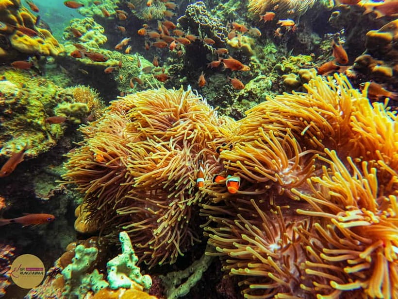 Krabi: Hong Islands Sunset, Bioluminescent Plankton and BBQ - Key Moments You’ll Remember