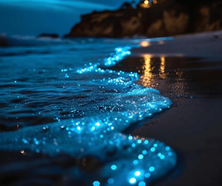 Krabi: Hong Islands Sunset, Bioluminescent Plankton and BBQ - The Bioluminescent Plankton Part: Worth Waiting For, But Read This First