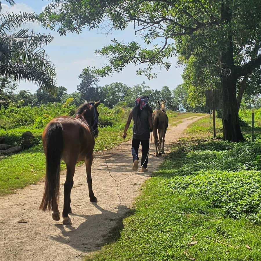 Krabi Horse Riding on the Beach and atv Extreme - ATV Time in Ao Nang: Off-Road Energy for About 30 Minutes