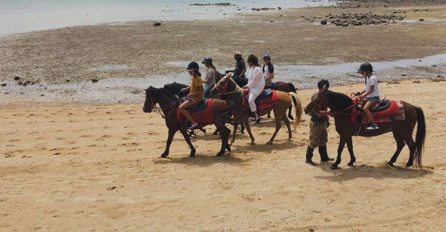 Krabi: Horseback Riding on the Beach - From Ao Nang Pickup to Ao Nam Mao Stables
