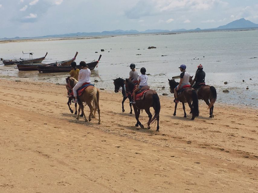 Krabi: Horseback Riding on the Beach - Fossil Beach and the Shellfish Tomb Platform You’ll Actually Remember