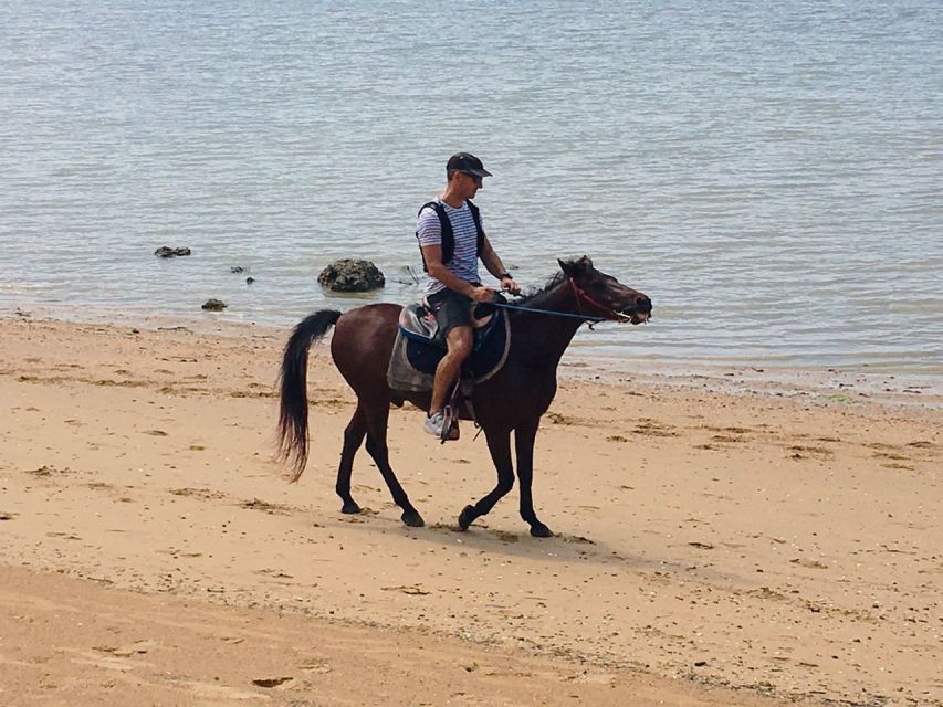 Krabi: Horseback Riding on the Beach - Countryside Riding Past Villages and Plantations