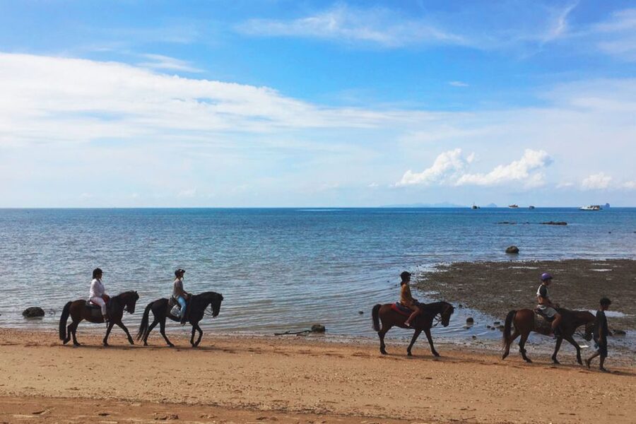 Krabi: Horseback Riding on the Beach - Mosquitoes, Body Limits, and Who This Tour Fits