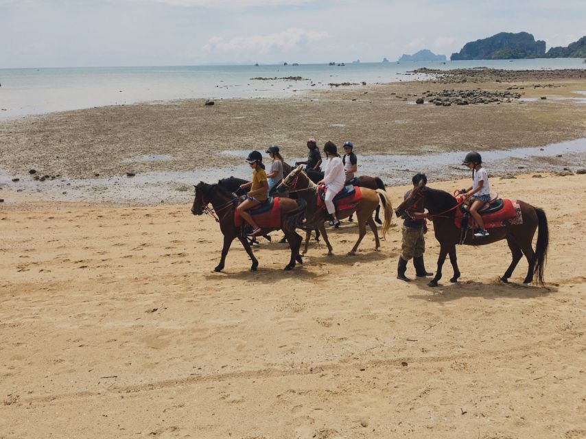 Krabi: Horseback Riding on the Beach - Price and What You Get for $62