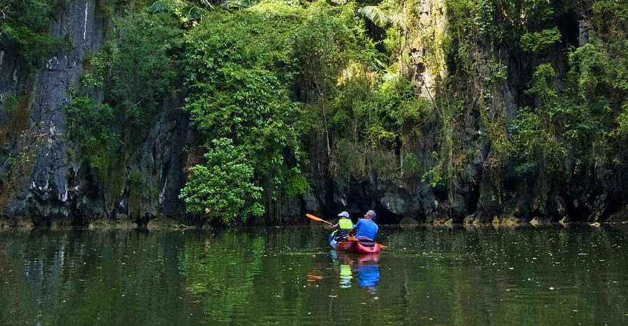 Krabi: Kayak Adventure through Ao Thalane Mangrove Forest - Paddling the mangrove maze at your own pace