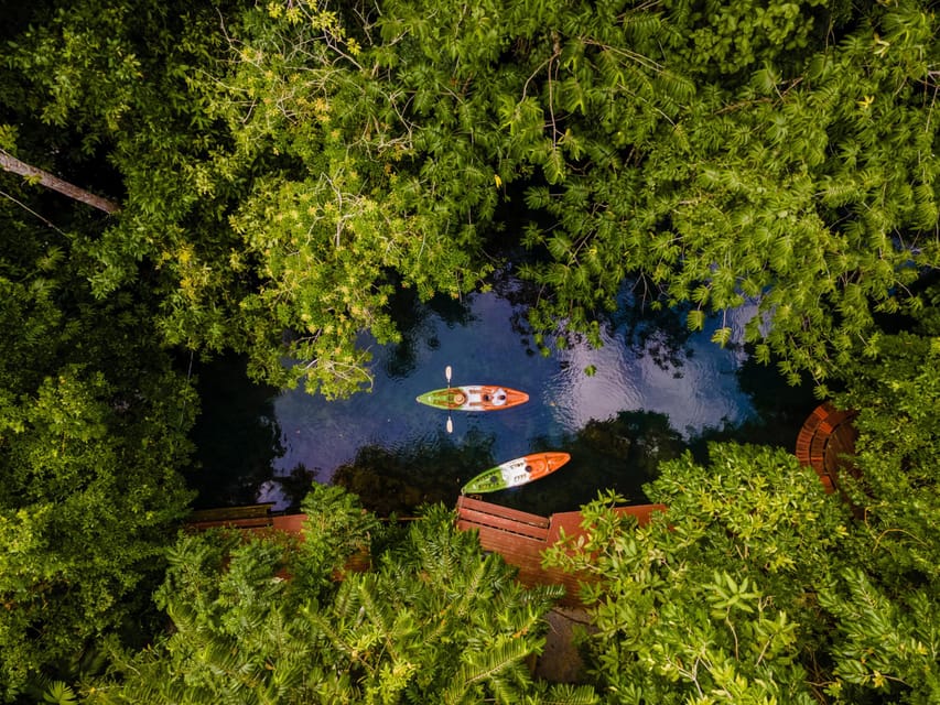 Krabi: Kayak Adventure through Ao Thalane Mangrove Forest - Crocodile Cave stop: why this named cave matters