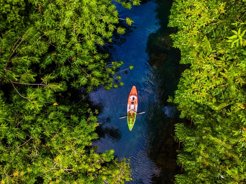 Krabi: Kayak Adventure through Ao Thalane Mangrove Forest - What $38 really buys you in Krabi terms