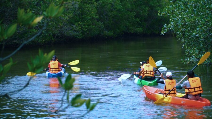 Krabi: Kayak in Mangrove Forest with Meal Aonang - Why Ao Nam Mao Mangroves Feel Different Than the Ao Nang Streets
