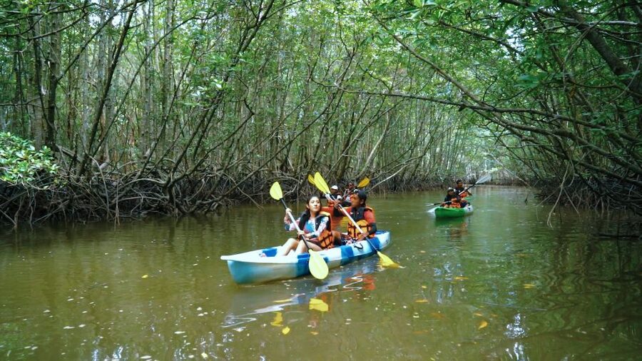 Krabi: Kayak in Mangrove Forest with Meal Aonang - Guides Make the Difference, Especially for Wildlife and Photos