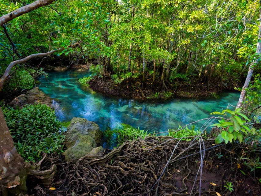 Krabi: Kayaking, Crystal Lagoon, and Fish Spa in Klong Root - Duration and Flow: How the 210 Minutes Actually Feel