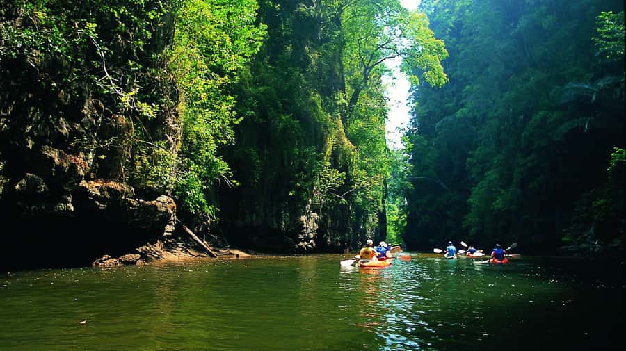 Krabi: Kayaking in Ao Thalane Bay Beautiful Mangrove Forest - Key Points to Know Before You Go