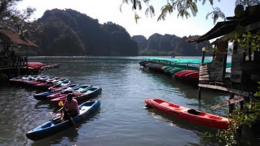 Krabi: Kayaking in Ao Thalane Bay Beautiful Mangrove Forest - Three Hours of Kayaking Through Mangroves and Along the Coast