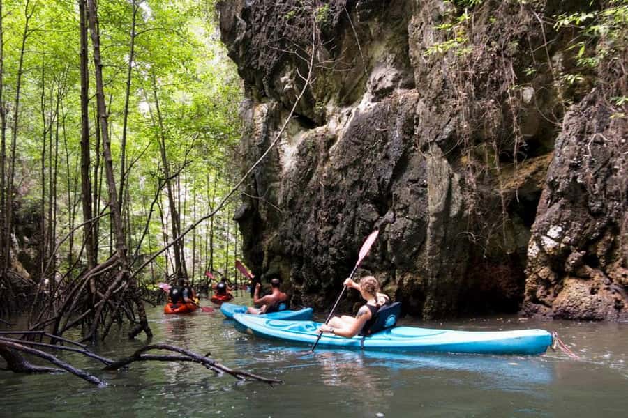 Krabi: Kayaking in Ao Thalane Bay Beautiful Mangrove Forest - Caves, Lagoons, and the Crocodile Cave Stop