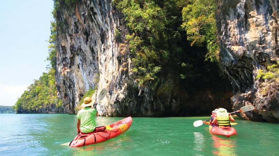Krabi: Kayaking in Ao Thalane Bay Beautiful Mangrove Forest - Wildlife Spotting in Undisturbed Mangrove Waterways