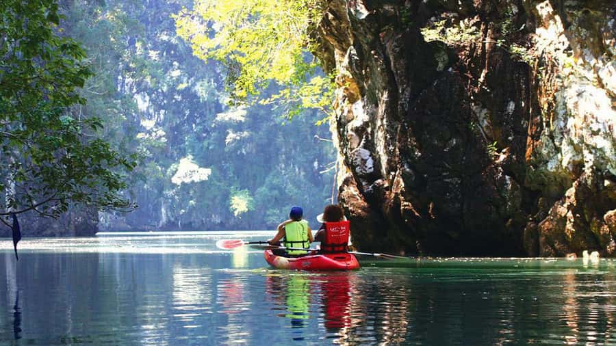 Krabi: Kayaking in Ao Thalane Bay Beautiful Mangrove Forest - Value Check: Why This Half-Day Format Works
