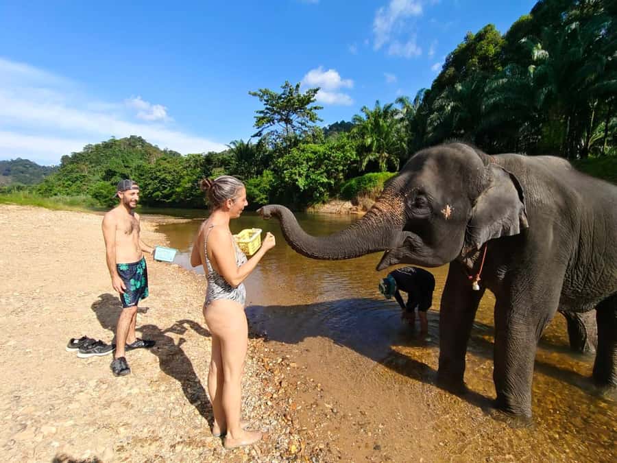Krabi: Khao Sok Elephant Rescue Center & Bamboo Raft Paddle - Elephant bathing and feeding, the hands-on section you should prepare for