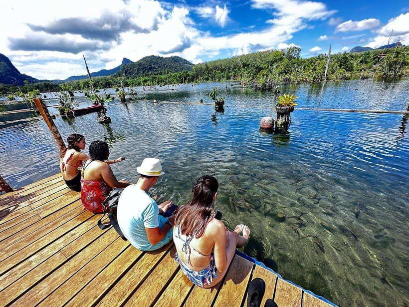 Krabi: Klong Root (Crystal lake) Kayaking tour - What to Bring for a Smooth Day on the Water