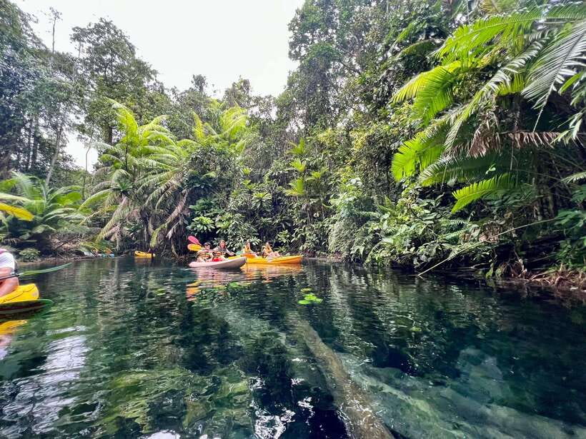 Krabi: Klong Root (Crystal lake) Kayaking tour - Crystal-Clear Paddling at Klong Root (Why This Works)