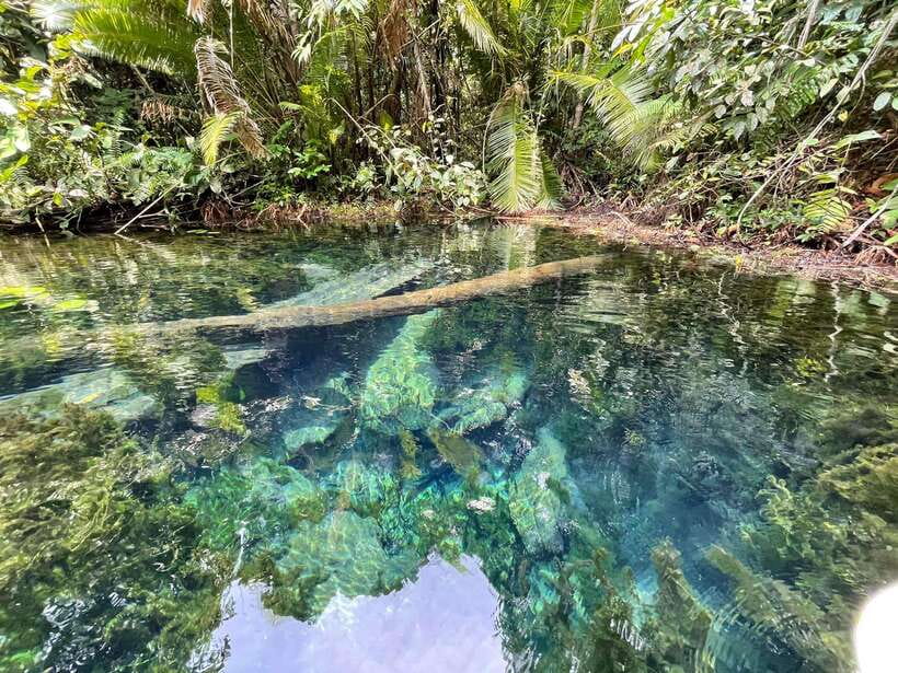 Krabi: Klong Root (Crystal lake) Kayaking tour - Paddling Through the Clear Water Canal: What You Actually Do