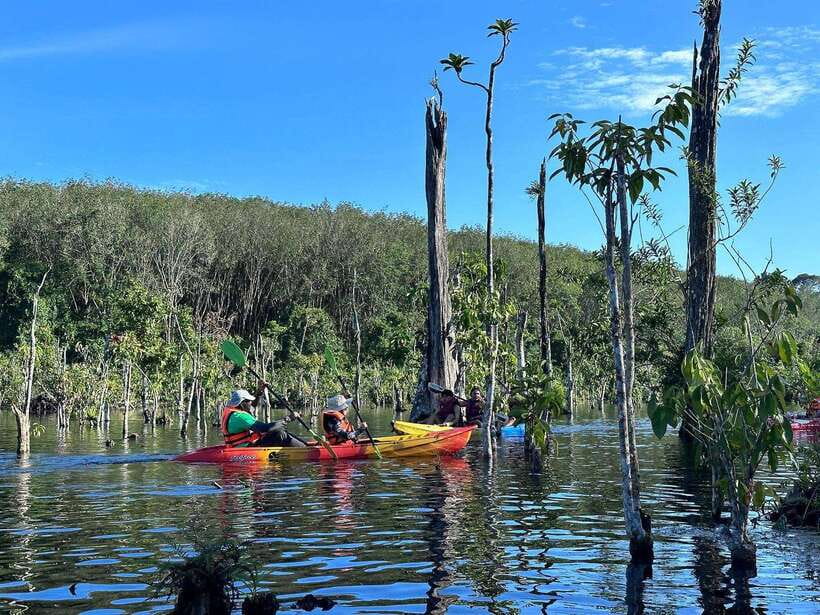 Krabi: Klong Root (Crystal lake) Kayaking tour - Pickup and Half-Day Timing From Ao Nang, Krabi Town, and Nearby Areas