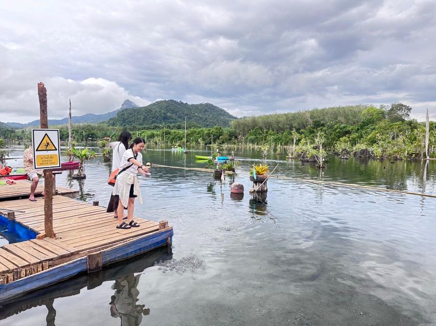 Krabi: Klong Root Kayaking Viewpoint,Fish Feeding and more - Pineapple farm and learning to be a rubber farmer