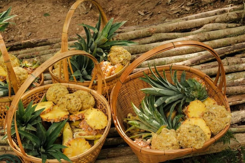 Krabi: Love Elephant Sanctuary Tour - Fruit Preparation and Feeding, The Part You’ll Actually Do