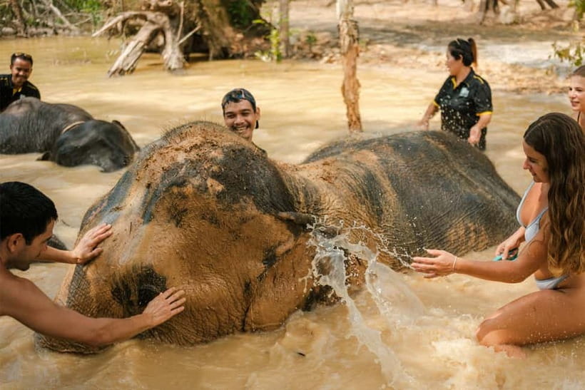 Krabi: Love Elephant Sanctuary Tour - The 2-Hour Flow: Ancient Tools, Food Prep, Medicine, Mud, Wash