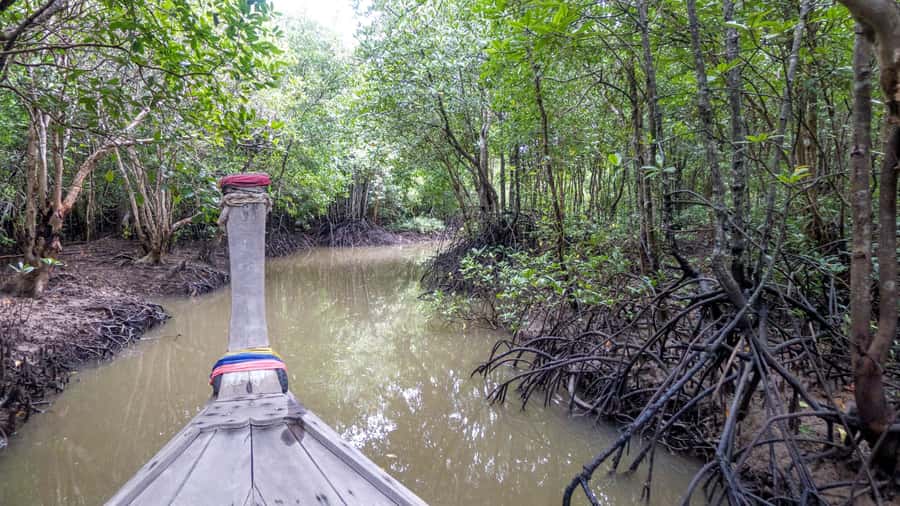 Krabi: Mangrove Magic & Koh Klang Charm by Longtail Boat - Khao Khanab Nam Cave: the 40 minutes that actually make the detour
