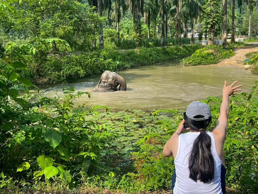 Krabi: Observation-Only Elephant Sanctuary 2hrs Mini Moments - Entering Krabi Roaming Elephant Sanctuary: Calm, Not Crowded