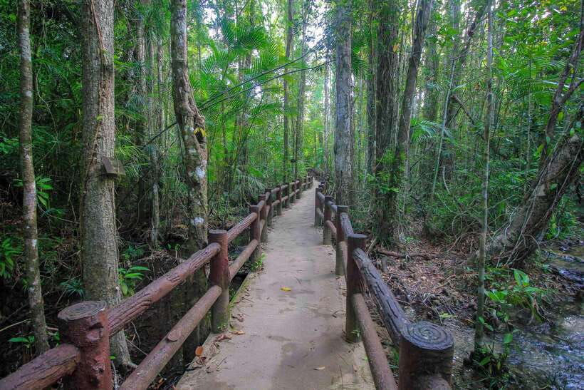 Krabi Outback Explorer to Emerald Pool & Wareerak Hotspring - Key things to know before you go