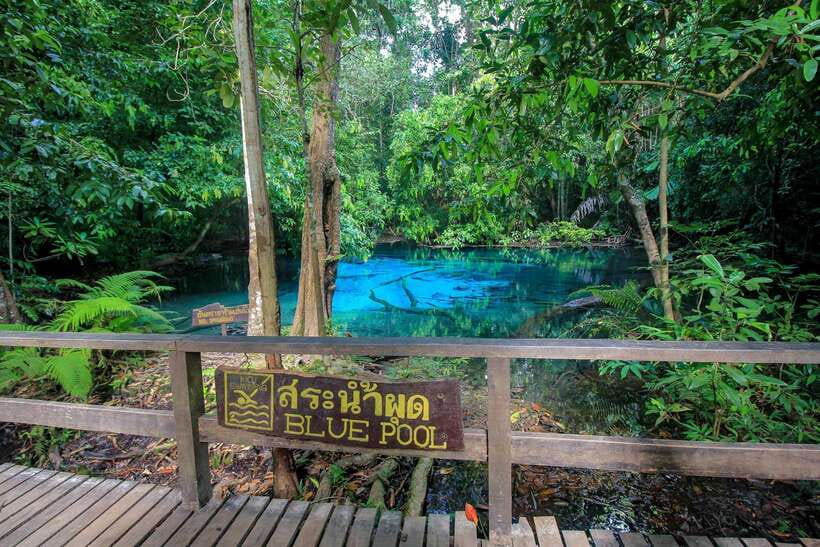 Krabi Outback Explorer to Emerald Pool & Wareerak Hotspring - Wareerak Hot Spring private spa: why the ending feels so good