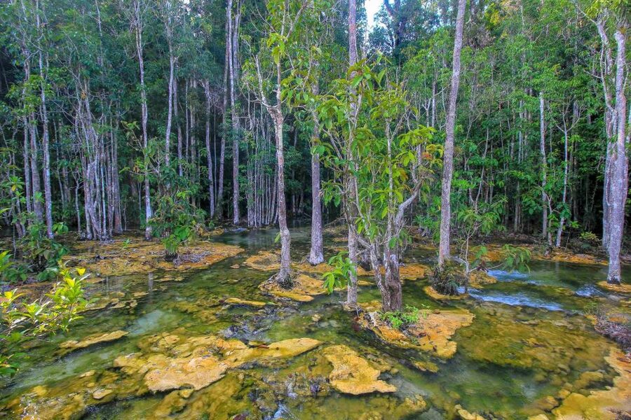 Krabi Outback Explorer with Visit of Tiger Cave Temple - Guide impact, and one small caveat about narration