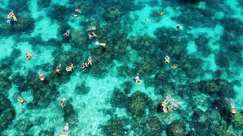 Krabi: Phi Phi and 4 Islands with Snorkeling by Speed Boat - Meeting point and timing: the 07:50 to 08:00 pickup reality