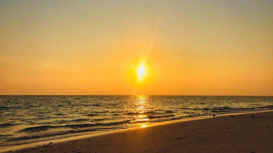 Krabi: Phi Phi Early Bird & 4 Island by Speedboat with Lunch - Key moments that make this Phi Phi early-bird day feel worth it