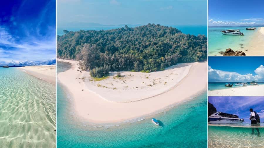 Krabi: Phi Phi Early Bird & 4 Island by Speedboat with Lunch - Phi Phi Le snorkeling, then Viking Cave pass-by and Monkey Beach