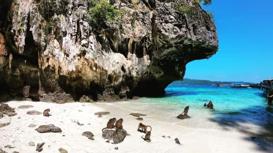 Krabi: Phi Phi Islands Full-Day Private Speedboat Charter - Loh Samah Bay snorkeling: reef time that actually feels like snorkeling