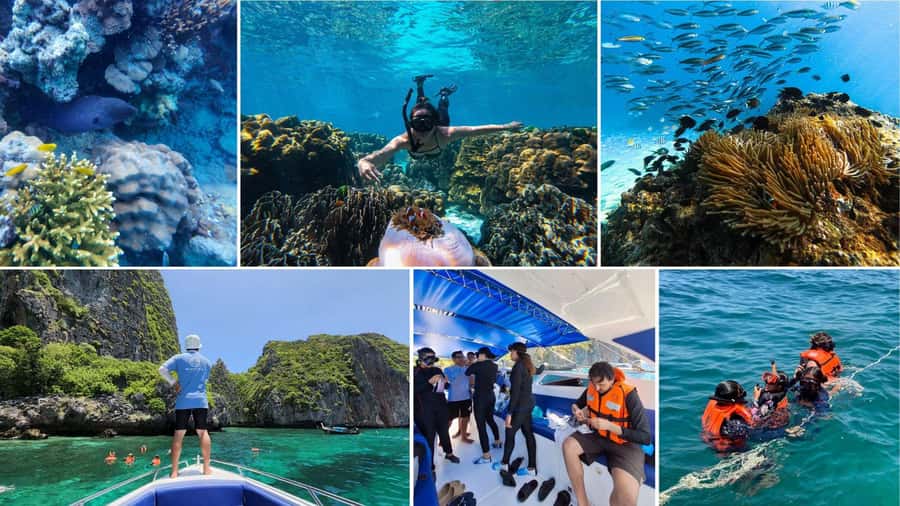 Krabi: Phi Phi Islands Full-Day Private Speedboat Charter - The Ko Phi Phi Don walk: quick time on the main island