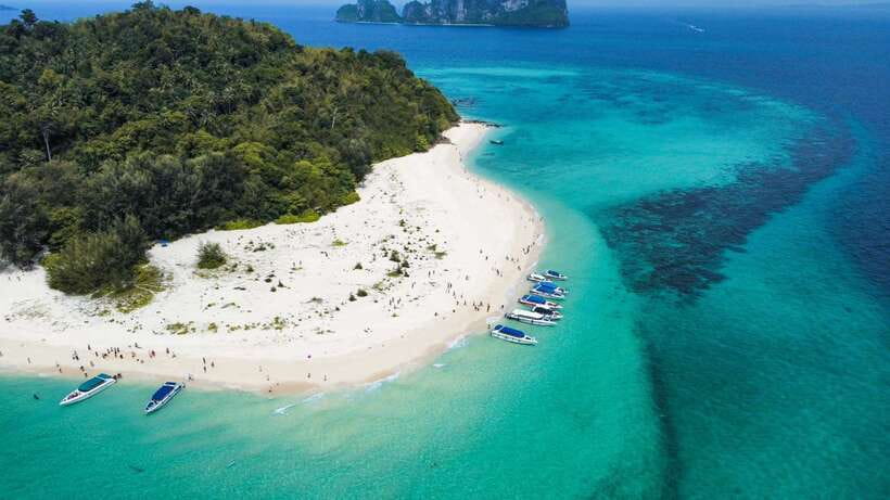Krabi: Phi Phi Islands Speedboat Tour with Buffet Lunch - Key highlights you will actually care about