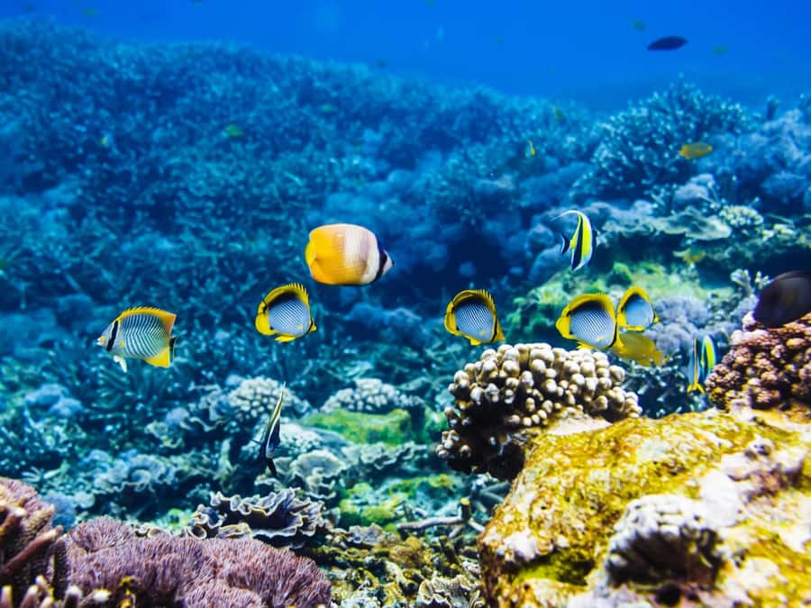 Krabi: Private 4 Islands Snorkeling Tour with Long-Tail Boat - Phra Nang Cave and beach: the stalactites are the main event